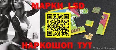 крисы Камышлов