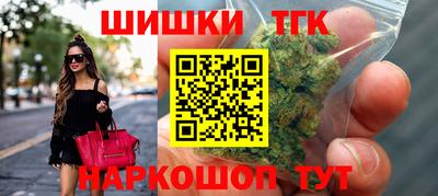 крисы Камышлов