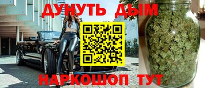 крисы Камышлов