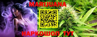 крисы Камышлов