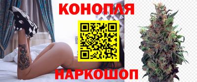 прущие крисы Канаш