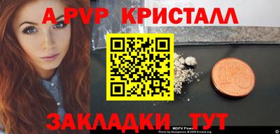 крисы Камышлов