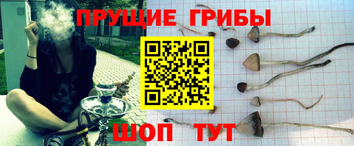 Кубинка  где найти   Вход с VPN  Галлюциногенные грибы Psilocybine cubensis  Псилоцибиновые грибы MAGIC MUSHROOMS 