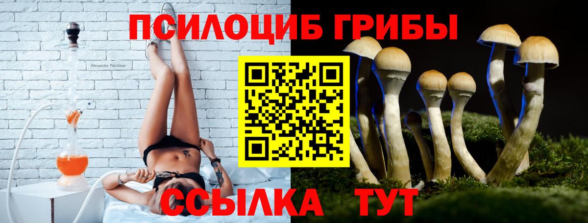Галлюциногенные грибы мицелий Кубинка